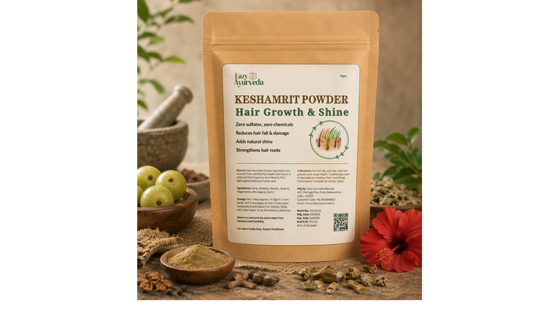 KeshAmrit Hair Powder - Natural Shampoo (50g)